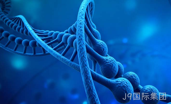 杭州某知名生物科技公司数据权限及异地备份项目